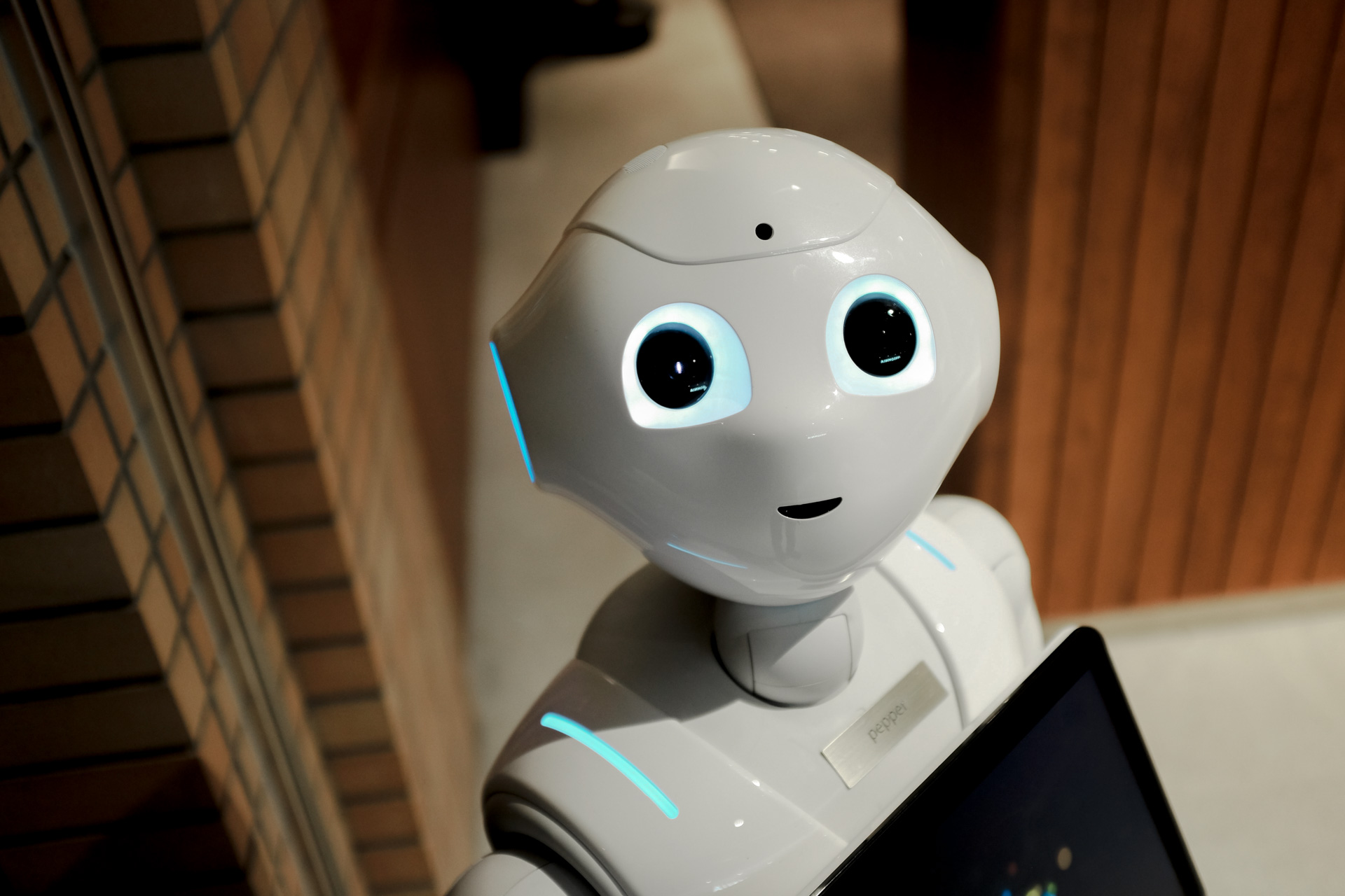 alt-search-result-card