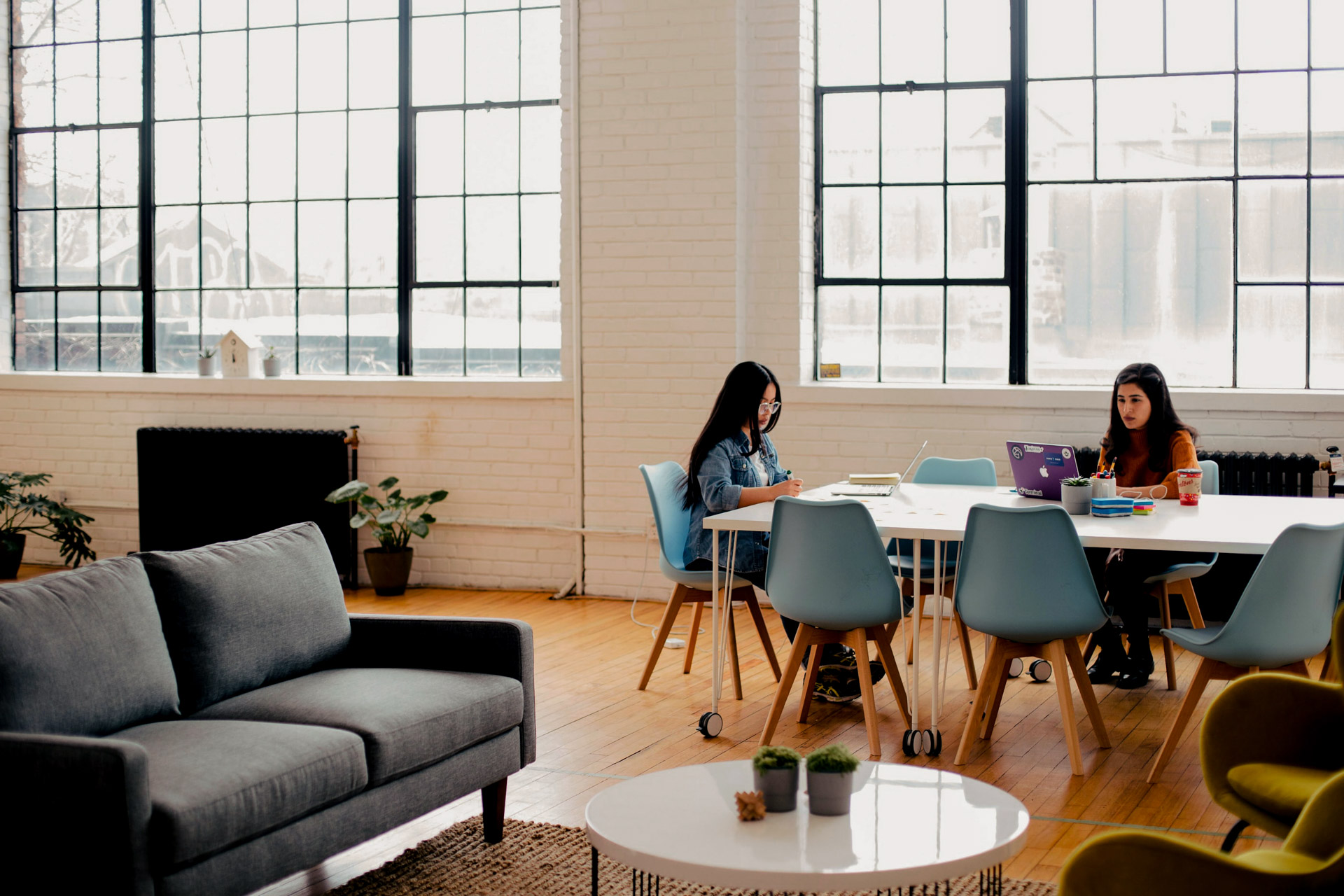 alt-search-result-card