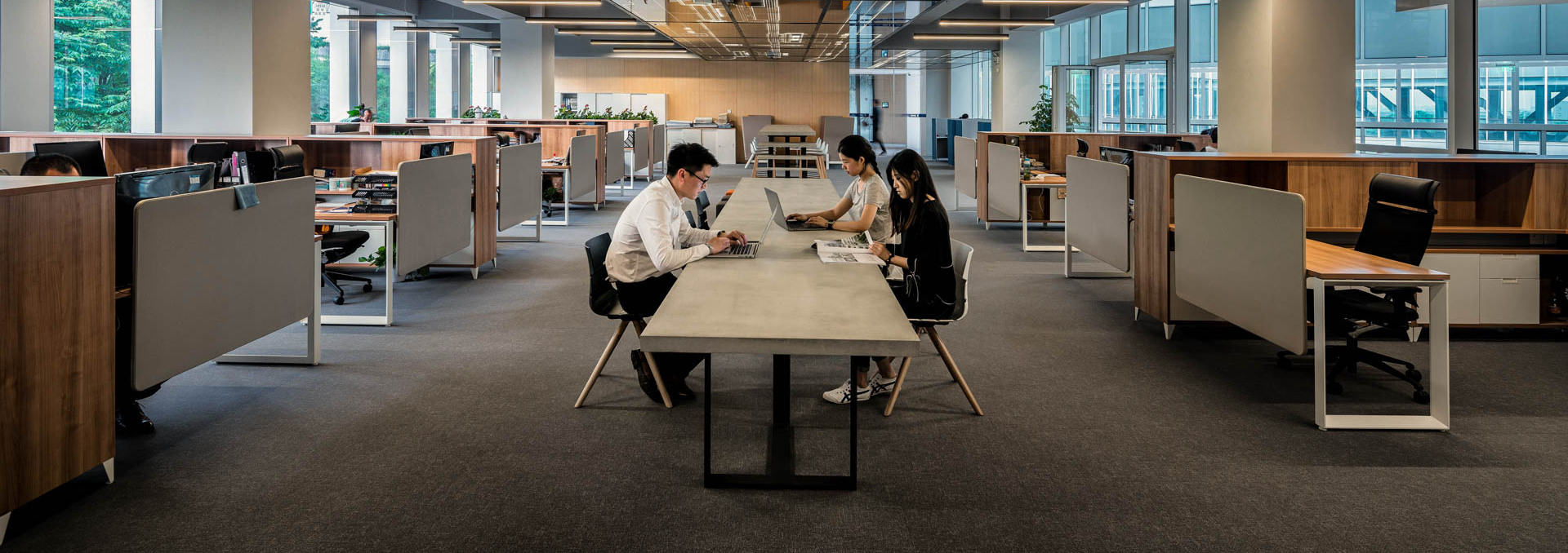 alt-search-result-card